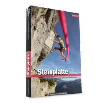 Alpinkletterführer Alpintopo Steinplatte